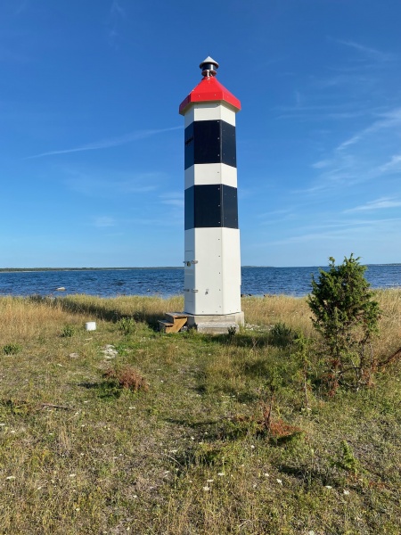 Fil:HaurevlarMagnusRietz2021.jpg